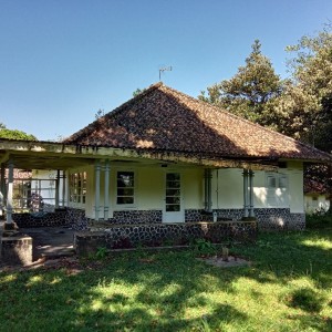 blog images